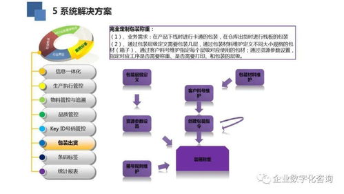 高科技电子行业数字化工厂案例与软件技术交流